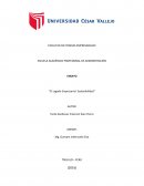 El Legado Empresarial: Sostenibilidad