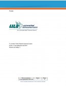 Avance de proyecto profesional semana 2