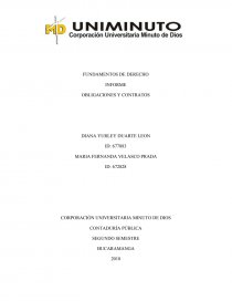 FUNDAMENTOS DE DERECHO INFORME. Página 1