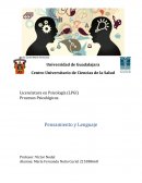 Procesos Psicológicos Pensamiento y Lenguaje
