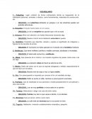Vocabulario lenguaje