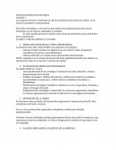 Apunte política empresarial