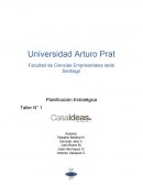 Planificación Estratégica Casa&Ideas