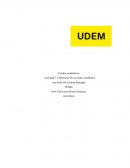 Actividad 7. Elaboración de un ensayo académico