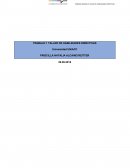 Prueba 1 habilidades directivas