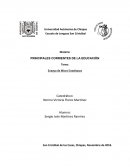 Ensayo Microenseñanza