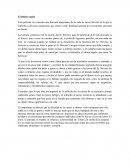 Conclusion "El ultimo regalo"