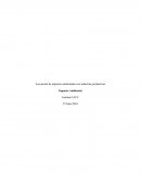 Asociación de impactos ambientales con industrias productivas