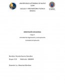 Actividad de Organización y Jerarquización Actividad de Aplicación