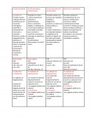 Acción de libertad Acción de amparo constitucional