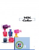 Plan de Mercadotecnia Esmaltes “HK Color”