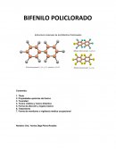 Bifenilo policlorado