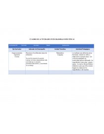 CUADRO DE ACTIVIDADES INTEGRADORAS ESPECÍFICAS. Página 1