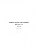 Taller de IVA, Control 8