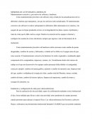 MEMORIA DE ACTIVIDADES LABORALES