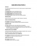GUIA BIOLOGIA ETAPA 2 CÉLULA