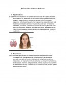 Enfermedades del Sistema Endocrino