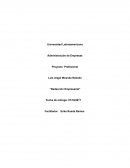 Redaccion empresarial