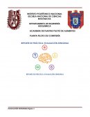REPORTE DE PRÁCTICA: EVALUACIÓN SENSORIAL