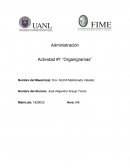 Administración Actividad #1 “Organigramas”