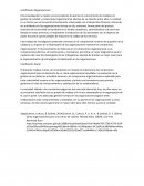 Justificación Organizacional