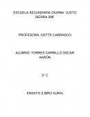 ENSAYO LIBRO "AURA"