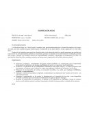 La Educación Física en el Nivel Inicial