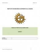 MANUAL DE PRÁCTICAS DE ALGEBRA LINEAL