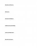 Desarrollo de la filosofia organizacional