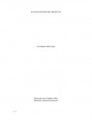 Dirección y gerencia de proyecto