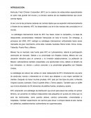 Kentucky Fried Chicken Corporation (KFC)