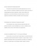 ¿Por qué es importante del coaching organizacional?