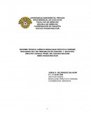 INFORME TÉCNICO JURÍDICO MODALIDAD PRÁCTICA FORENSE REALIZADO EN LOS TRIBUNALES DE CONTROL Y JUICIO DEL CIRCUITO JUDICIAL PENAL DEL ESTADO BOLÍVAR