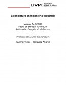 Algebra. Actividad 4. Geogebra/collaborete
