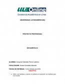 PROYECTO PROFESIONAL ESTADÍSTICA II