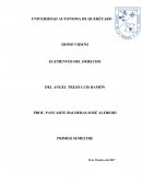 HOMO VIDENS ELEMENTOS DEL DERECHO