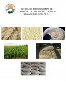 MANUAL DE PROCEDIMIENTO DE COMERCIALIZACION MODULO DE RIEGO SALVATIERRA S.P.R. DE R.L