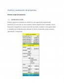 Análisis y evaluación de proyectos