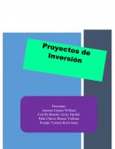 Proyectos de inversión empresa: R. H. Connection