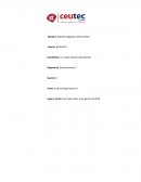 Cultura Organizacional “Gifs and Bows”