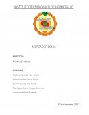 Tarea Mercadotecnia