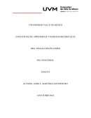 ESTRATEGIAS DE APRENDIZAJE Y HABILIDADES DIGITALES