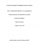 Comportamiento Humano en Las organizaciones