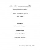 PRUEBAS Y VALIDACIONES DE SOFTWARE