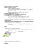 Informaсion de Egipto