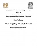 Beneficios económicos vs. impactos ambientales. Un análisis de la controversia