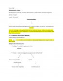 Hematopoyesis y Sangre