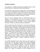 Ciudades intermedias