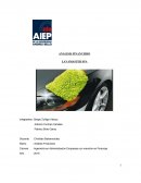 ANÁLISIS FINANCIERO LAVAMASTER SPA