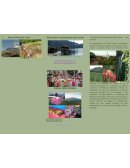 Sitios turísticos de Tolima